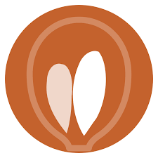 Infocus Psychology logo